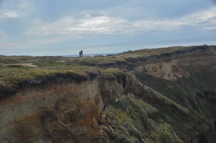 Otter Point